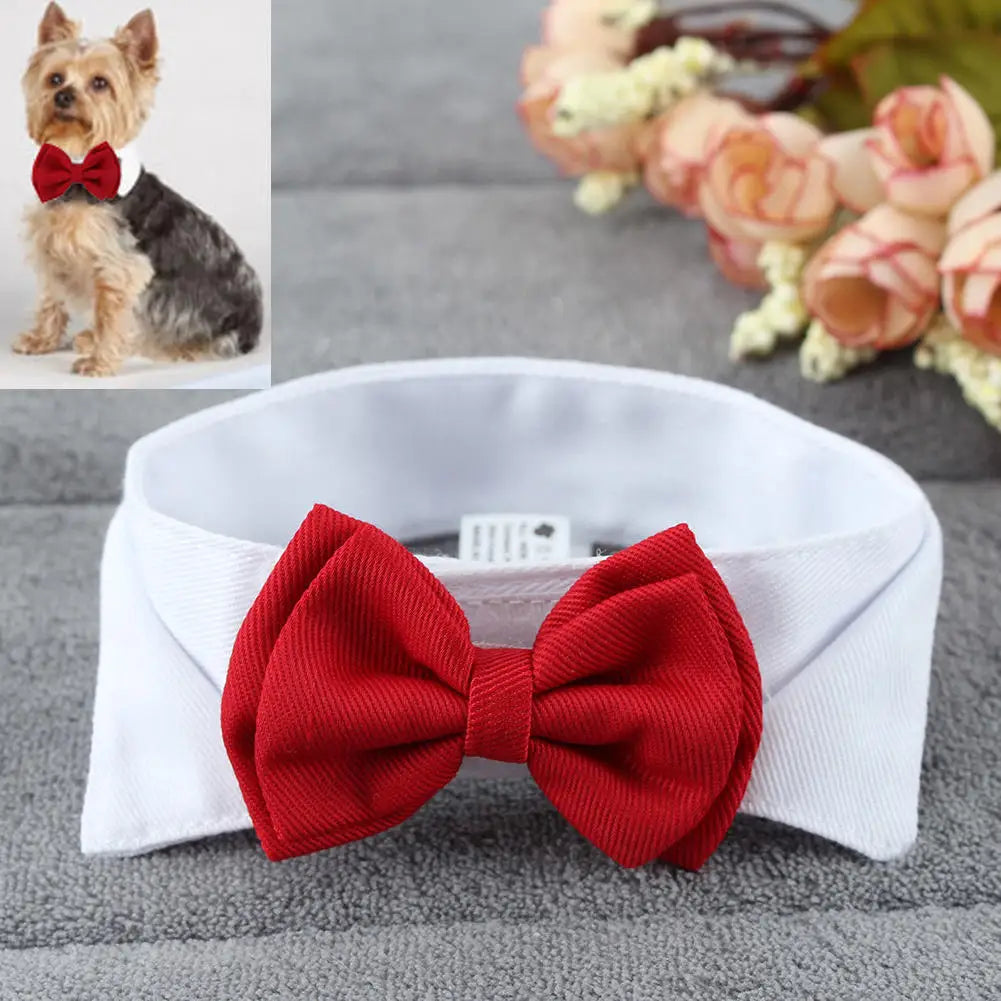 1PC Pets Puppy Dogs Cats Adjustable Bow Tie Collar Necktie Bowknot BowSPECIFICATIONSBrand Name: NoEnName_NullMaterial: PolyesterOrigin: Mainland ChinaCN: HubeiItem Type: Tie &amp; Bow TieSet Type: noType: Dogs
1PC Pets Puppy Dogs Cats ShopDoggieworksShopDoggieworks1PC Pets Puppy Dogs Cats Adjustable Bow Tie Collar Necktie Bowknot Bowtie Holiday Wedding Decoration Grooming Accessories