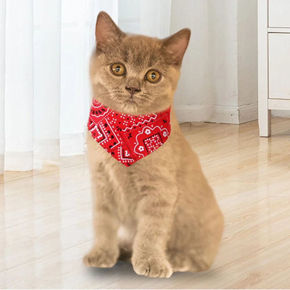 Pet Bandana Collar Scarf for Dogs Puppy & Cat Small Medium Large Dogs SPECIFICATIONSBrand Name: NoEnName_NullType: CollarsCollar Type: Basic Collarsis_customized: YESMaterial: nylonIs Smart Device: noOrigin: Mainland ChinaCN: ZhejiangPShopDoggieworksShopDoggieworksDogs Puppy & Cat Small Medium Large Dogs Adjustable Collars Red Blue Black Pink Stylish Dog Collar