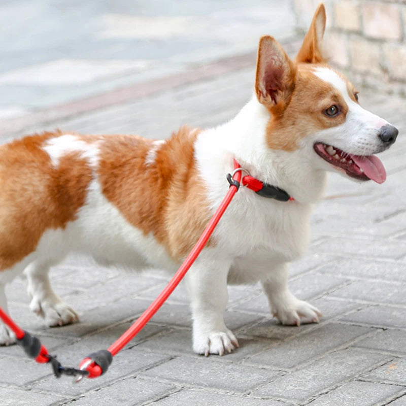 Pet P Chain Nylon Collar Dog Training Accessories Teddy Small Corgi Border Collie Medium Golden Retriever Large Dog Use Durable