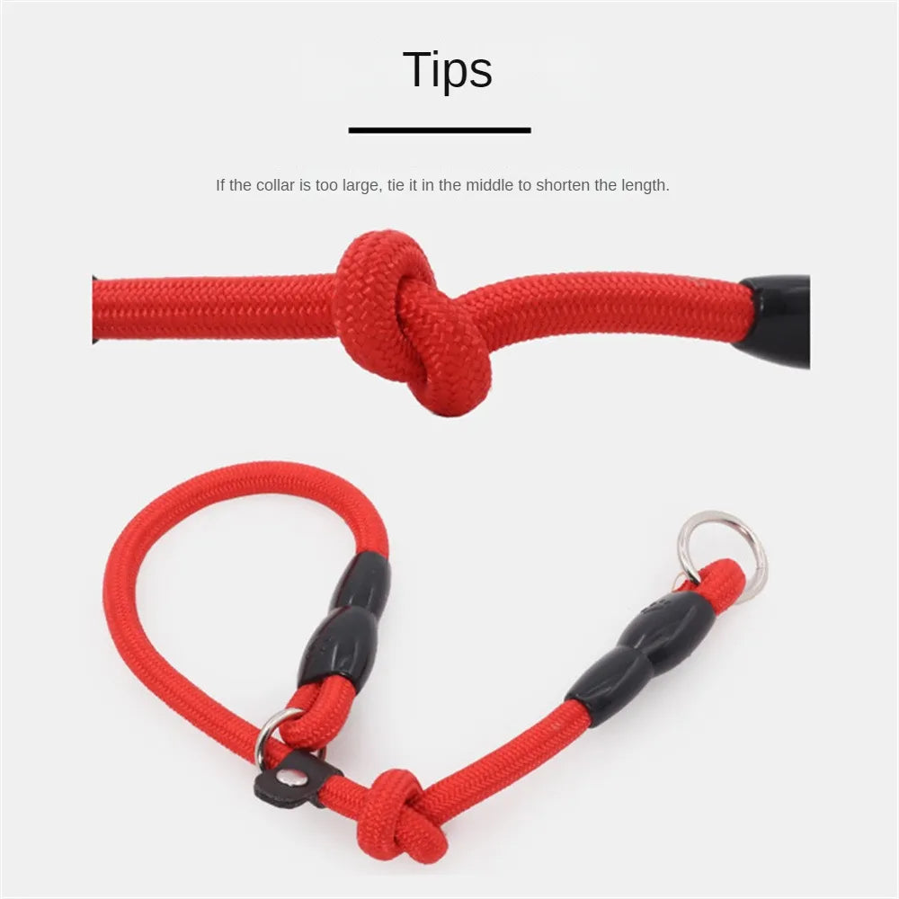 Pet P Chain Nylon Collar Dog Training Accessories Adjustable Size Big Dog Collar Harness Outdoor Training Leash Pet Supplies