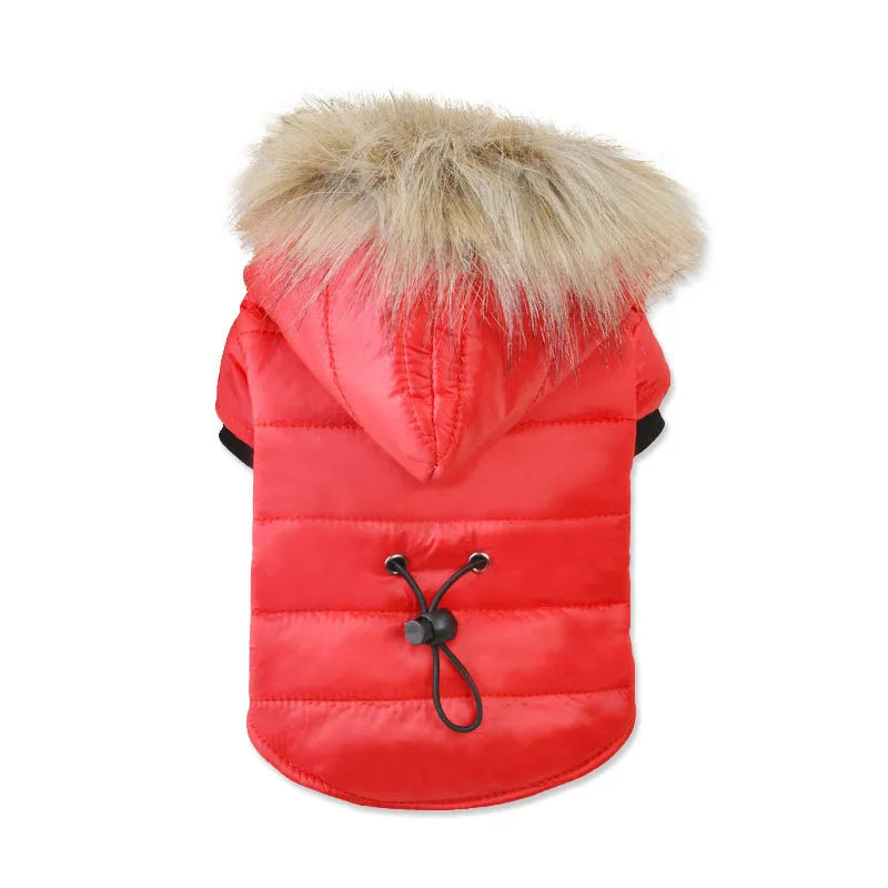 Dog Coat Small Dog Jacket Windproof Warm Padded Down Hoodie Snowsuit Fashion Winter Dog Clothes for Cat Puppy Chihuahua Yorkie