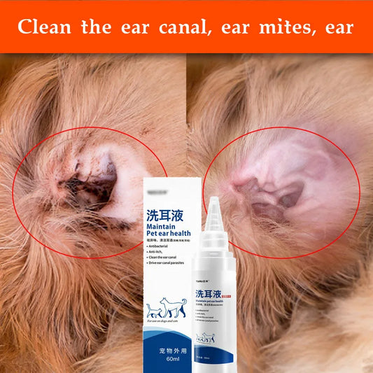 Malassezia otitis media for cats and dogs itching, redness, swelling and anti-inflammatory ear drops Easotic10m