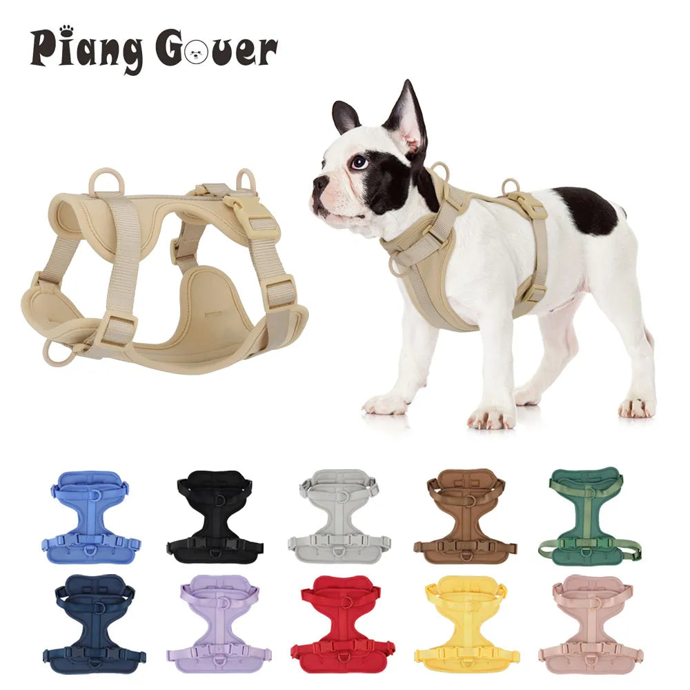 Dog Harness Outdoor Walk Training Fashion Pet Chest Strap Pet Harenss for Small Medium Dog