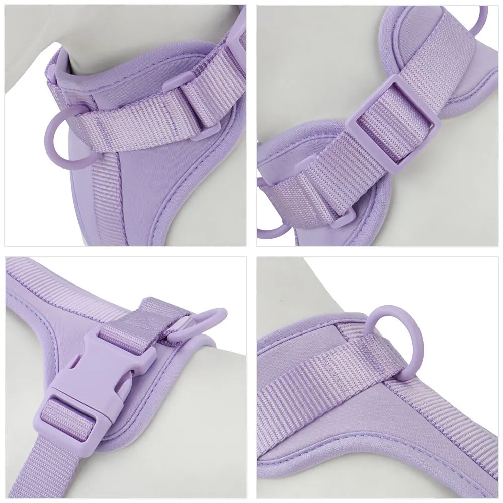 Dog Harness Outdoor Walk Training Fashion Pet Chest Strap Pet Harenss for Small Medium Dog