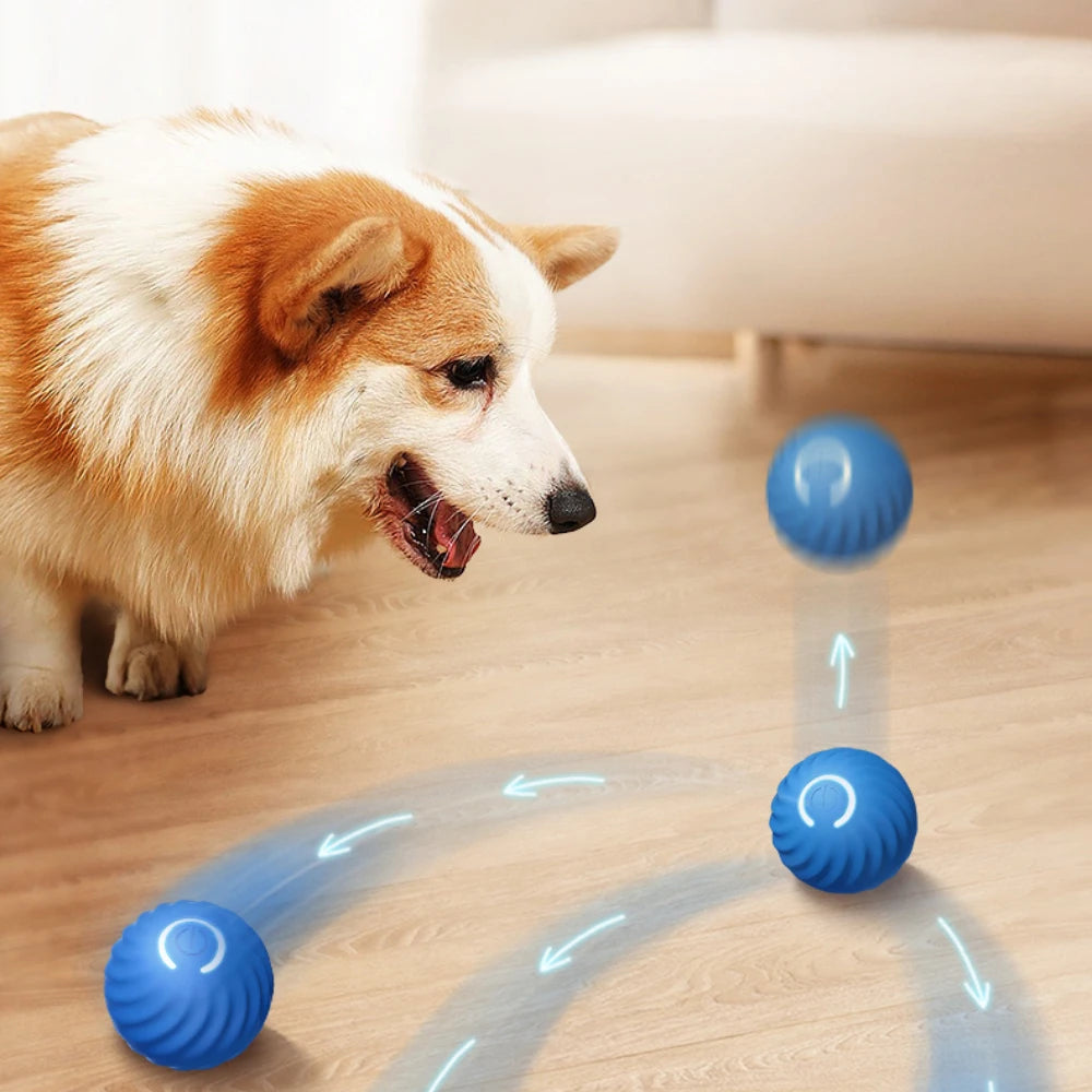 Smart Dog Toy Ball Automatic Moving Bouncing Rolling Ball Electronic Interactive Pet Toy for Puppy Birthday Gift Dog Cat Product