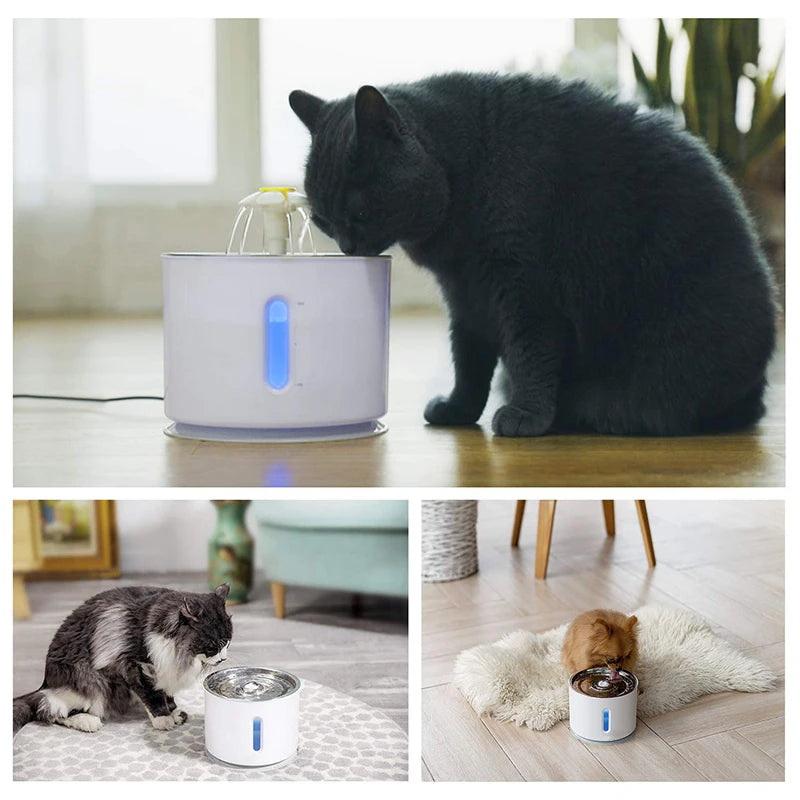 LED Pet Water Dispenser Cat Water Fountain Automatic Active Carbon Filter Electric Dog Cat Drink Bowls Fresh Water Cat Supplies