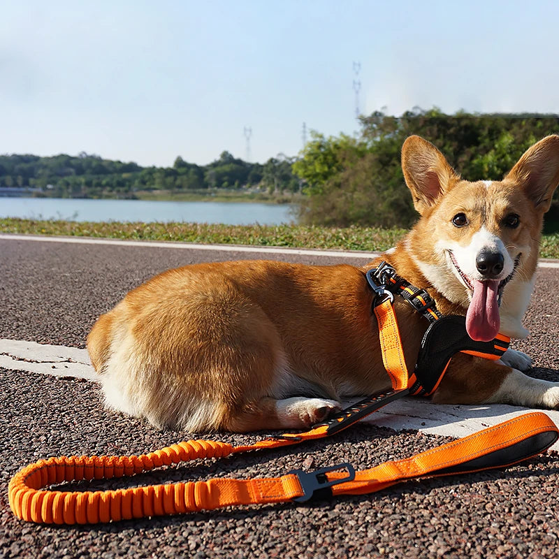 Nylon reflective multi-functional retractable dog leash with car safety buckle