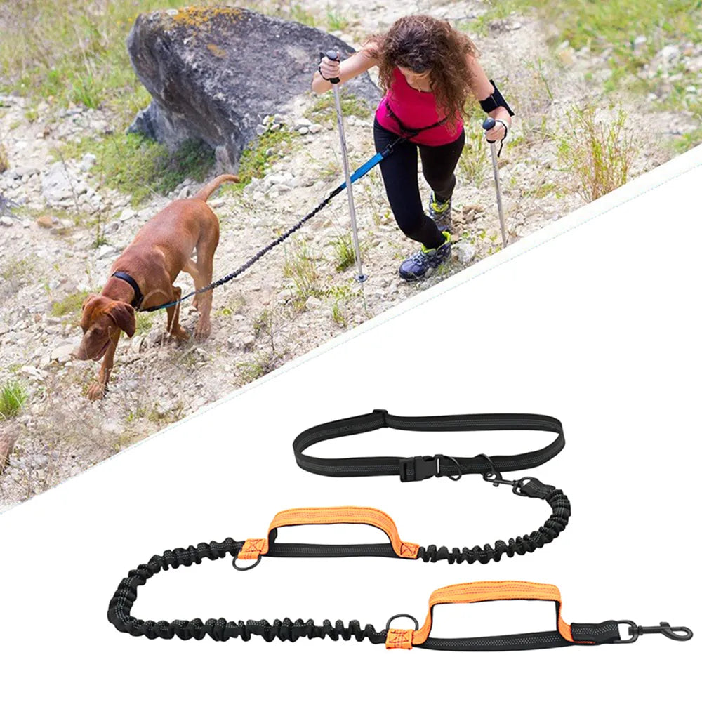 Retractable Hands Free Dog Leash For Running Double Handles Elastic Cord Reflective Large Dog Leash Pet Supplies