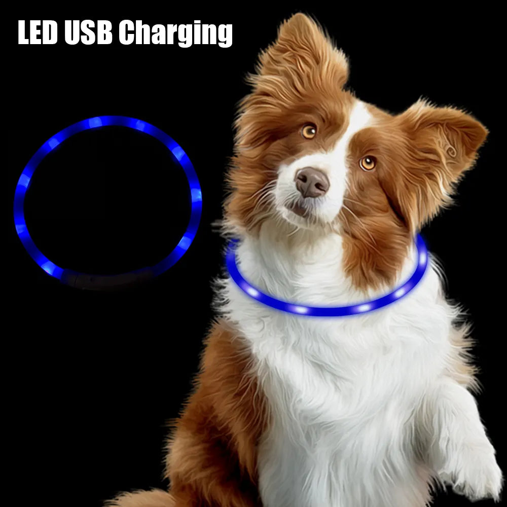 Led Usb Dog Collar Night Luminous Charge Necklace Dog Loss Prevention Night Safety Flashing Glow Collar Pet Accessories