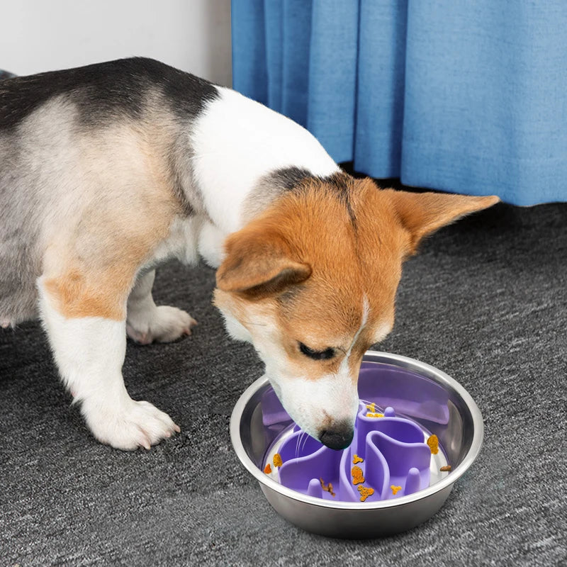 Silicone Spiral Slow Feeder Insert with Strong Suction Cup for Small MSPECIFICATIONSBrand Name: ishilineItem Type: Slow FeederOrigin: Mainland ChinaType: DogsMaterial: PlasticApplicable Dog Breed: UniversalSKU: TF1112Choice: yes
Item: ShopDoggieworksShopDoggieworksSmall Medium Large Dogs Feeding Bowl Pet Products