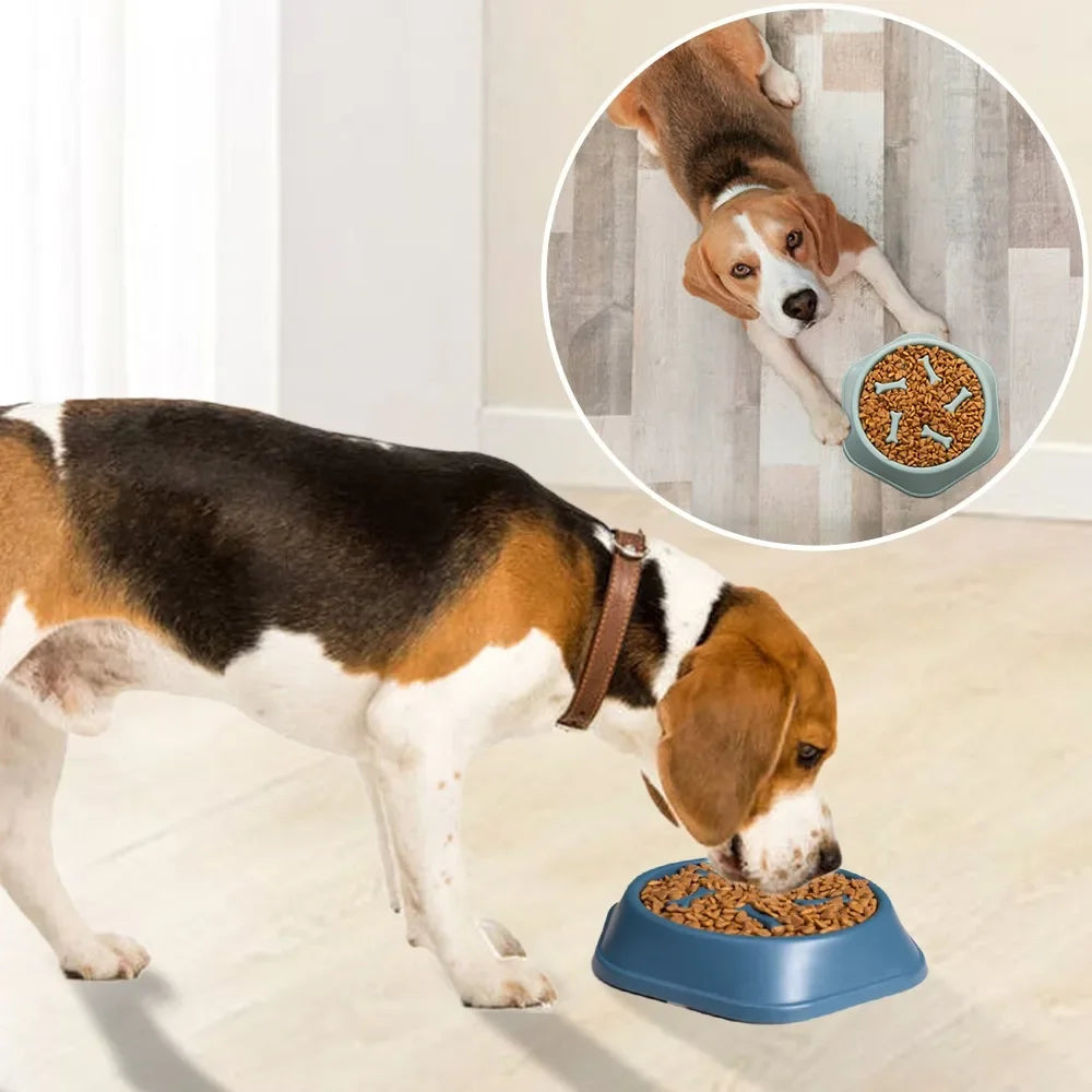 New Pet Dog Feeding Food Bowl Puppy Slow Down Eating Feeder Dish Bowl SPECIFICATIONSBrand Name: KAMANLONGItem Type: Slow FeederOrigin: Mainland ChinaType: DogsMaterial: PlasticApplicable Dog Breed: UniversalApplicable Dog Breed: UniverShopDoggieworksShopDoggieworksEating Feeder Dish Bowl Prevent Obesity Pet Dogs Supplies Food Stora Dropshipping