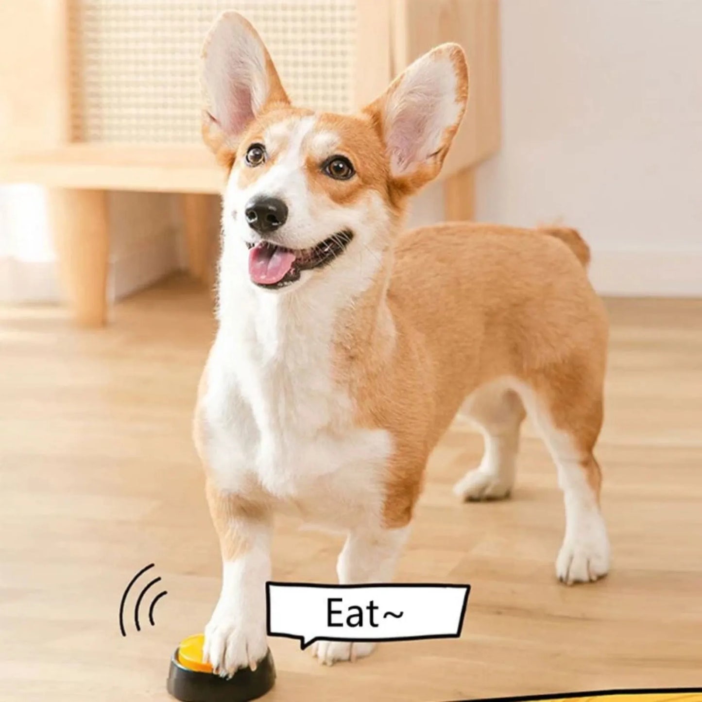 Dog Communication Buttons Voice Recording Button for Pet Training Buzzer 30 Second Record Playback Funny Gift for Talking