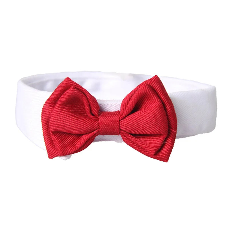 1PC Pets Puppy Dogs Cats Adjustable Bow Tie Collar Necktie Bowknot BowSPECIFICATIONSBrand Name: NoEnName_NullMaterial: PolyesterOrigin: Mainland ChinaCN: HubeiItem Type: Tie &amp; Bow TieSet Type: noType: Dogs
1PC Pets Puppy Dogs Cats ShopDoggieworksShopDoggieworks1PC Pets Puppy Dogs Cats Adjustable Bow Tie Collar Necktie Bowknot Bowtie Holiday Wedding Decoration Grooming Accessories