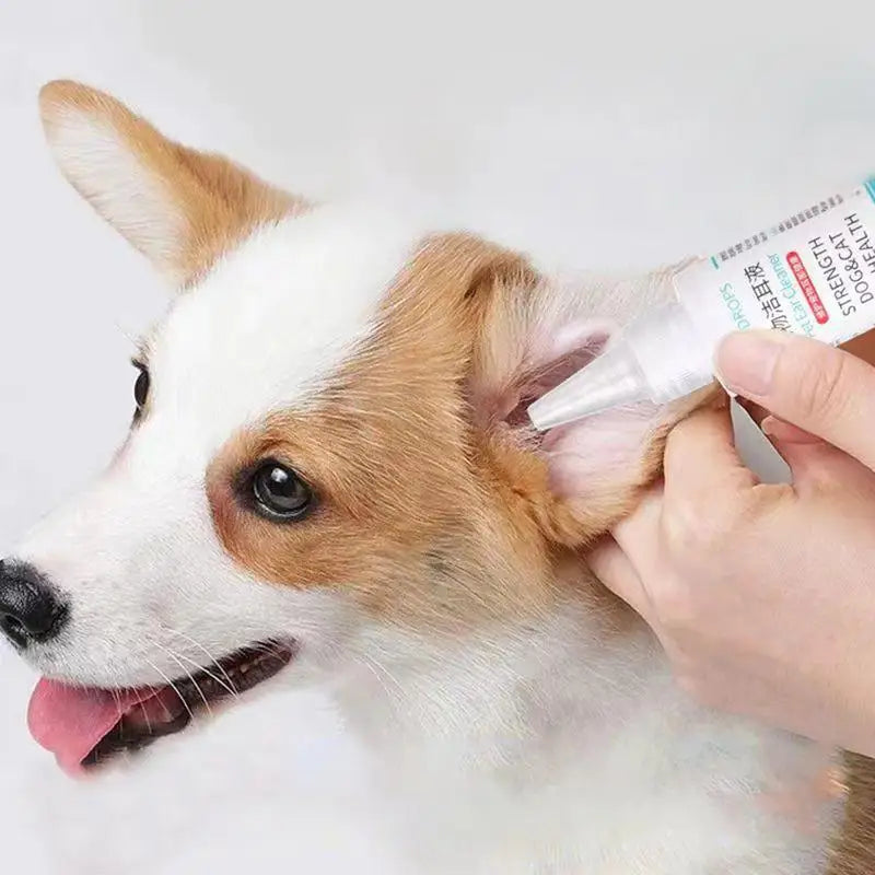 Pet Ear Cleaner Pet Ear Excess Hair Removing Powder Healthy Care 60ml Universal Dog Ear Cleaning  Ear Cleaning Solution for dogs