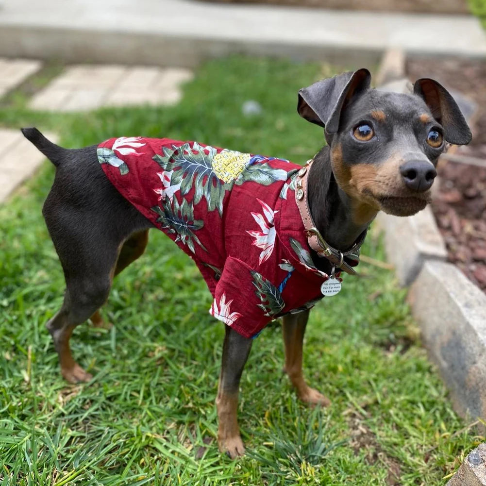 Summer Dog Clothes Cool Beach Hawaiian Style Dog Cat Shirt Short Sleeve Coconut Tree Printing 2023 New Fashion Gift For Pet