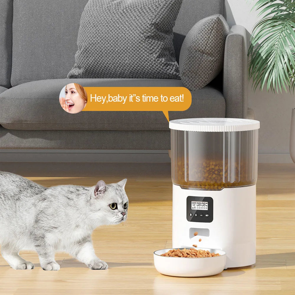 4L Button Smart Automatic Pet Feeder With Stainless Steel Bowl Timing Voice For Dog Cat Auto Feeding Bowl Pet Dry Food Dispenser