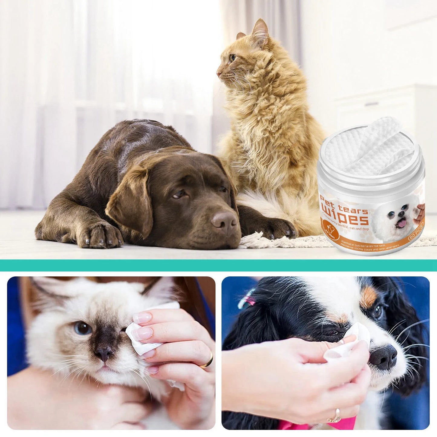 New Pet Remove Dirt From Eyes and Ears Wipes Dog Cat Earwax Clean Ears Odor Remover Pets Wet Tissue Cleaning Tools Supplies