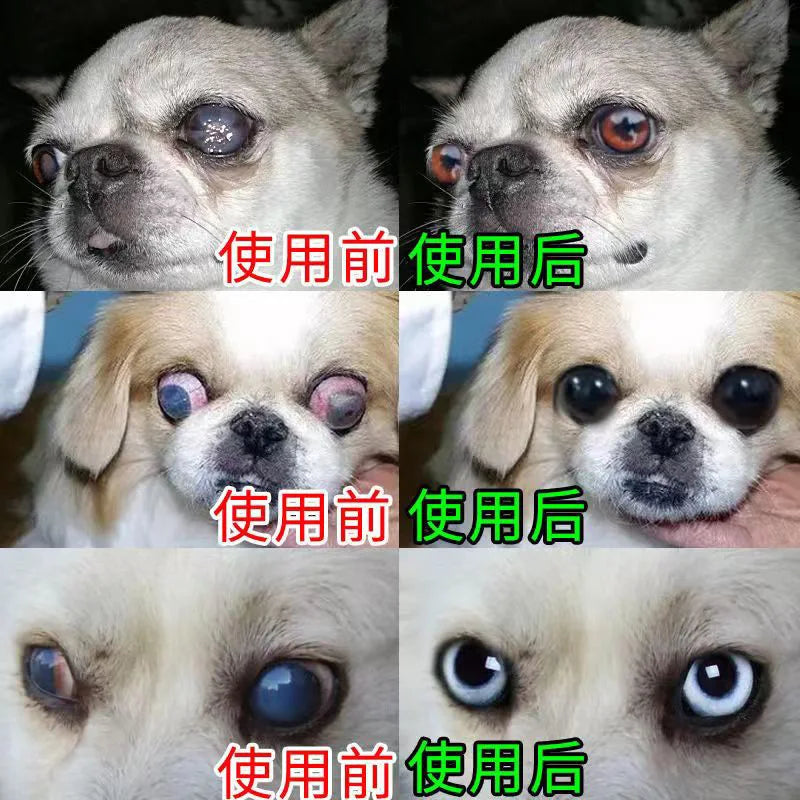 Pet eye ointment eye care cat dog conjunctival keratitis watery eyes red ulcer eye drops