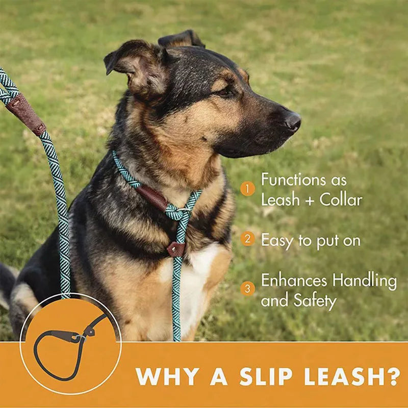 Strong Durable Dog Slip Rope Leash Adjustable Loop Collar Comfortable Leash Supports The Strongest Pulling Large Medium Dogs