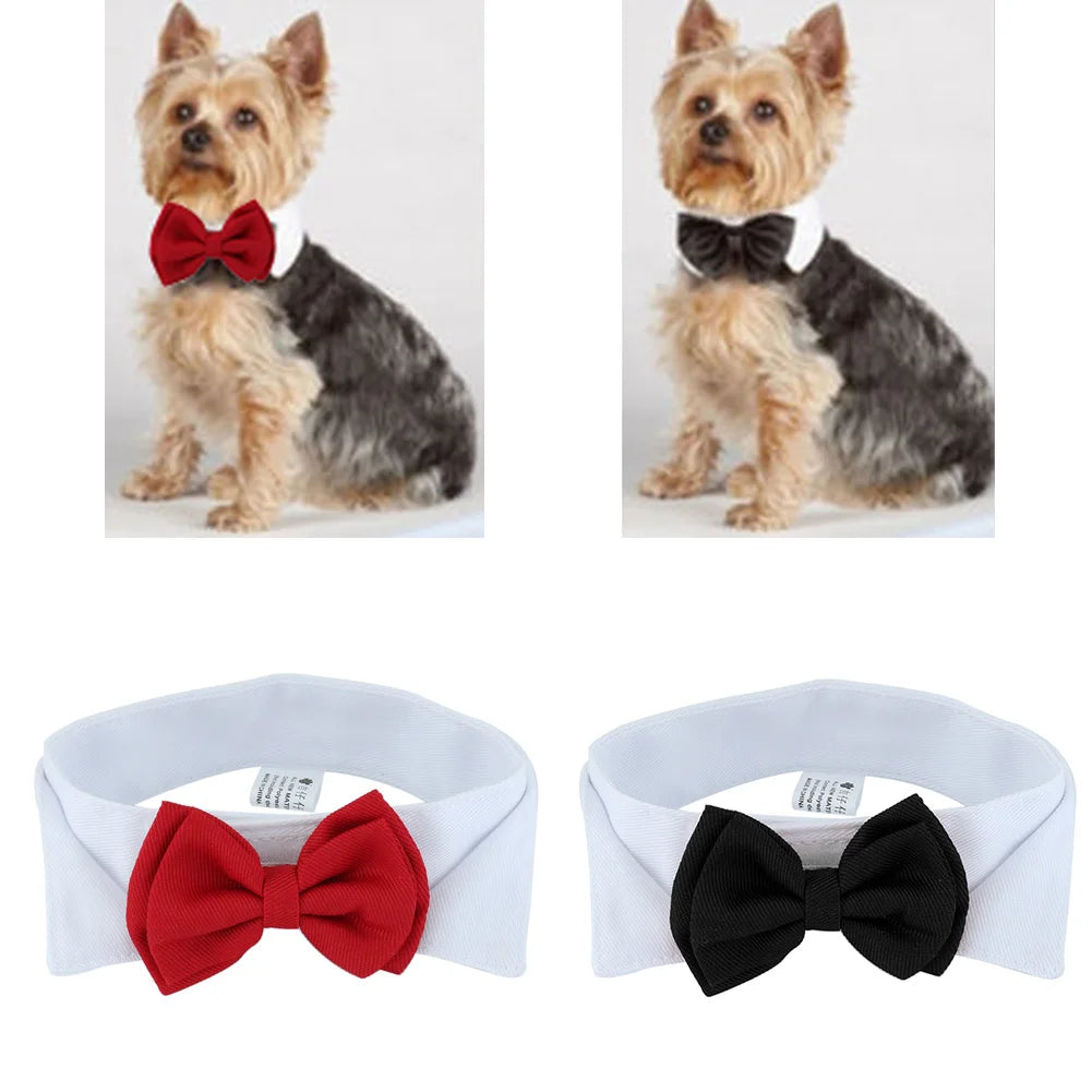 1PC Pets Puppy Dogs Cats Adjustable Bow Tie Collar Necktie Bowknot BowSPECIFICATIONSBrand Name: NoEnName_NullMaterial: PolyesterOrigin: Mainland ChinaCN: HubeiItem Type: Tie &amp; Bow TieSet Type: noType: Dogs
1PC Pets Puppy Dogs Cats ShopDoggieworksShopDoggieworks1PC Pets Puppy Dogs Cats Adjustable Bow Tie Collar Necktie Bowknot Bowtie Holiday Wedding Decoration Grooming Accessories