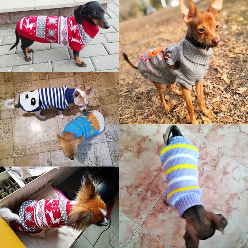 Warm Pet Clothes for Small Medium Dogs Winter Christmas Dogs Sweater Pet Clothing Knitting Costume Coat Cartoon Print Clothes