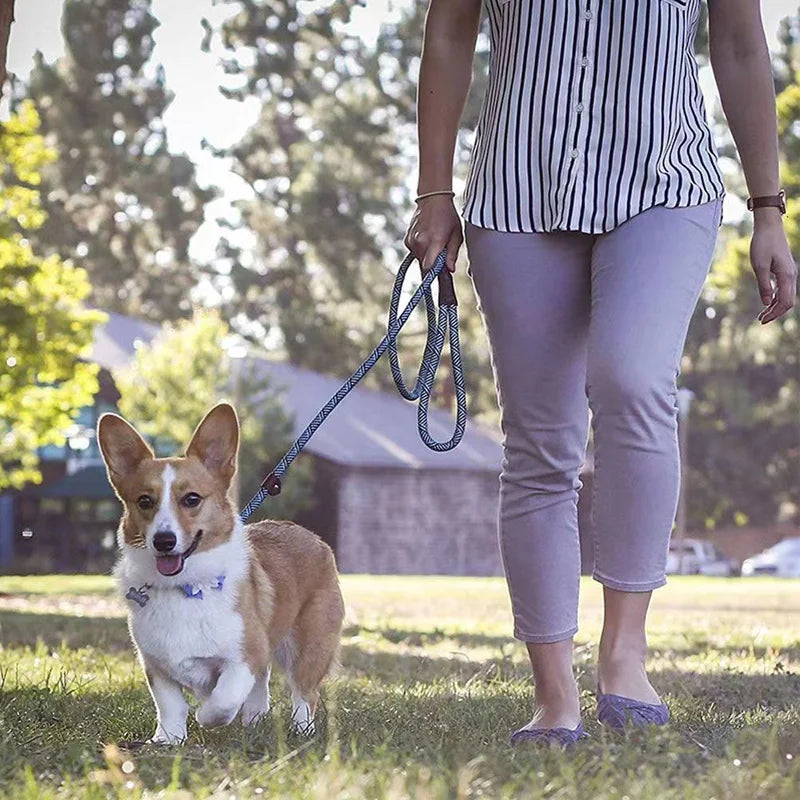 Strong Durable Dog Slip Rope Leash Adjustable Loop Collar Comfortable Leash Supports The Strongest Pulling Large Medium Dogs