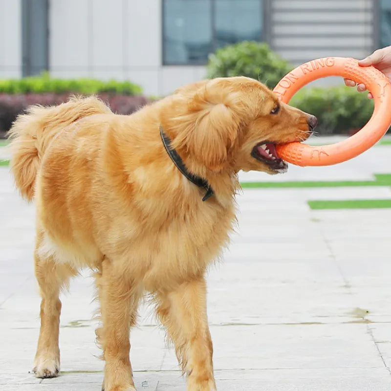 Dog Toys Pet Flying Disk Training Ring Puller Anti-Bite Floating Interactive Supplies Dog Toys Aggressive Chewing