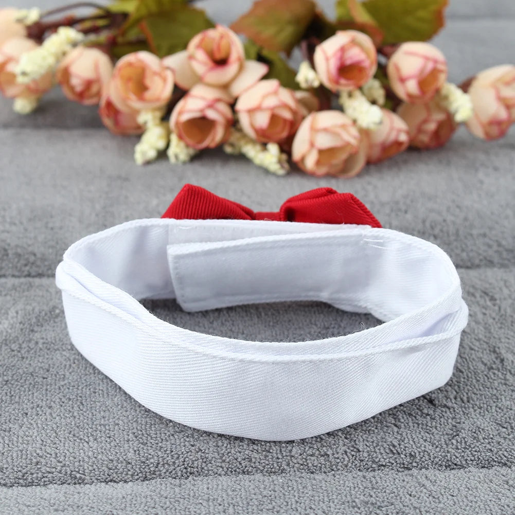 1PC Pets Puppy Dogs Cats Adjustable Bow Tie Collar Necktie Bowknot BowSPECIFICATIONSBrand Name: NoEnName_NullMaterial: PolyesterOrigin: Mainland ChinaCN: HubeiItem Type: Tie &amp; Bow TieSet Type: noType: Dogs
1PC Pets Puppy Dogs Cats ShopDoggieworksShopDoggieworks1PC Pets Puppy Dogs Cats Adjustable Bow Tie Collar Necktie Bowknot Bowtie Holiday Wedding Decoration Grooming Accessories