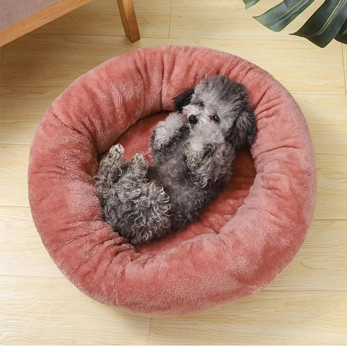 Pet Dog Bed Comfortable Donut Round Dog Kennel Ultra Soft Washable Dog and Cat Cushion Bed Winter Warm Doghouse Dropshipping