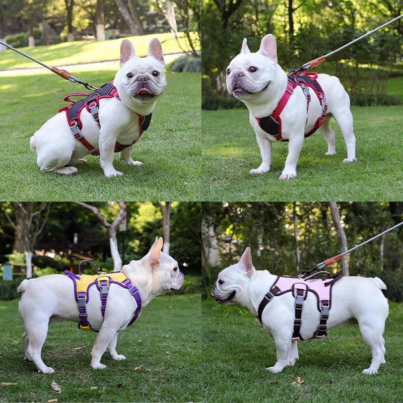 Shock-absorption Dog Harness Vest Adjustable Reflective Harness for Medium Dogs French Bulldog Walking Chest Strap Pet Supplies