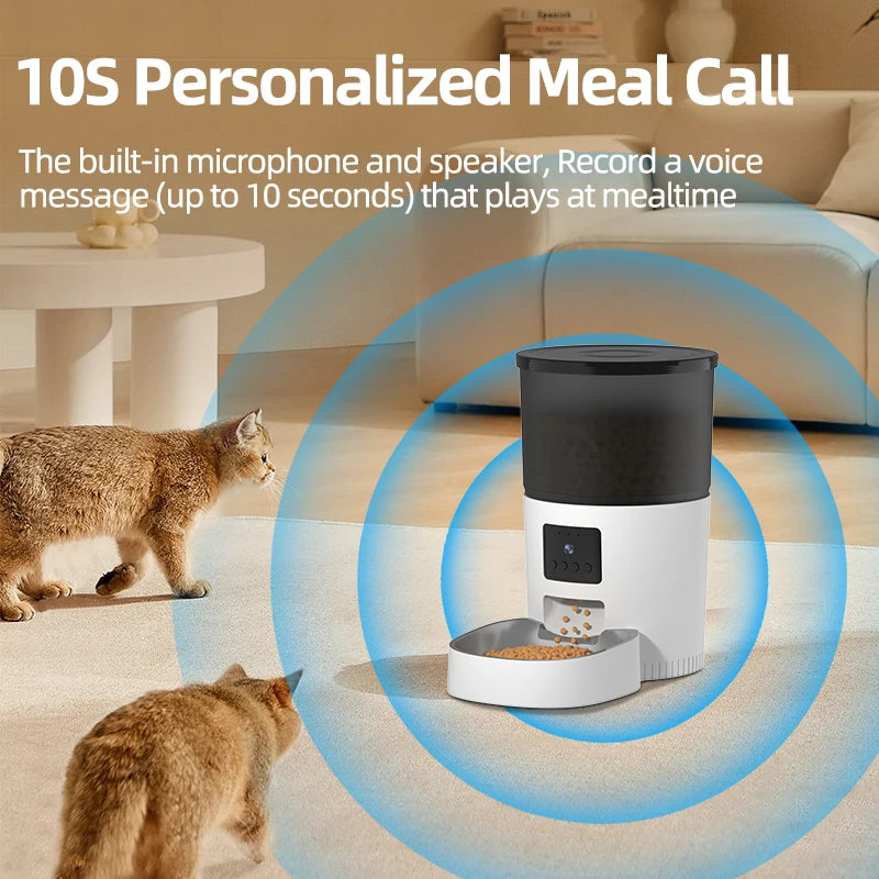 camera video cat food dispenser pet