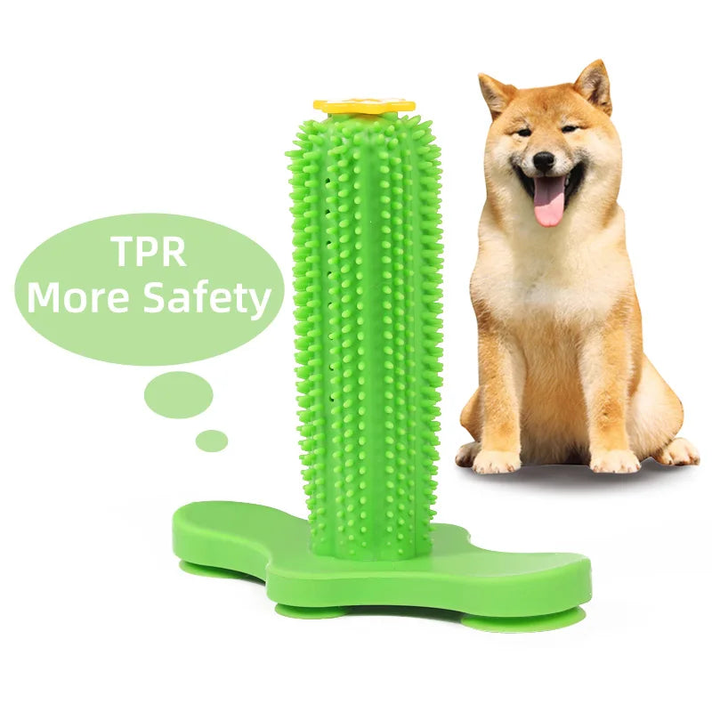 Large Dog Chew Toys Rubber Toothbrush For Small Dogs Treat Dispenser Tooth Cleaning Pet Supplies Puppy Cactus Interactive Toy