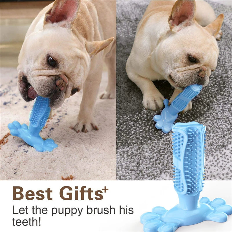 Dog Cactus Interactive Rubber Chew Toys For Small Large Dogs Tooth Cleaning Toothbrush For Small Large Dogs Treat Dispenser Pet