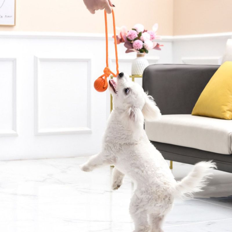 Dog Ball Indestructible Chew Bouncy Rubber Ball Toys Pet Dog Toy Ball SPECIFICATIONSUse for 3: Large DogUse for 2: PuppyUse for 1: Large Medium Small DogType: DogsToys Type: BallsSupport 3: dropshippingSupport 2: wholesaleSupport 1: Fr0ShopDoggieworksShopDoggieworksDog Ball Indestructible Chew Bouncy Rubber Ball Toys Pet Dog Toy Ball