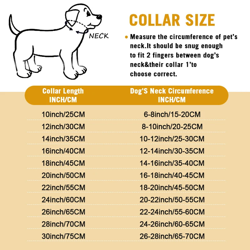 Stainless Chain Collar Large Collar Chain For Metal Dog Dogs Medium Links Link Small Steel Gold Cuban Walking Training