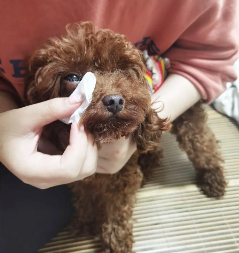 Pet Remove Dirt From Eyes and Ears Wipes Dog Cat Earwax Clean Ears Odor Remover Pets Wet Tissue Cleaning Tools Supplies