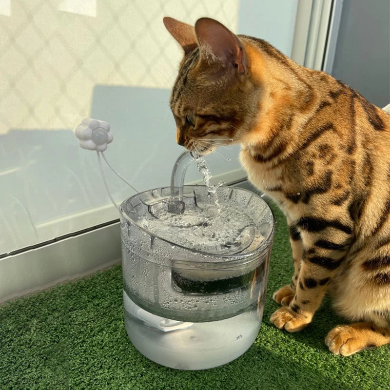 Cat Water Fountain Auto Filter USB Electric Mute Cat Drinker Bowl Recirculate Filtring Drinker for Cats Pet Water Dispenser