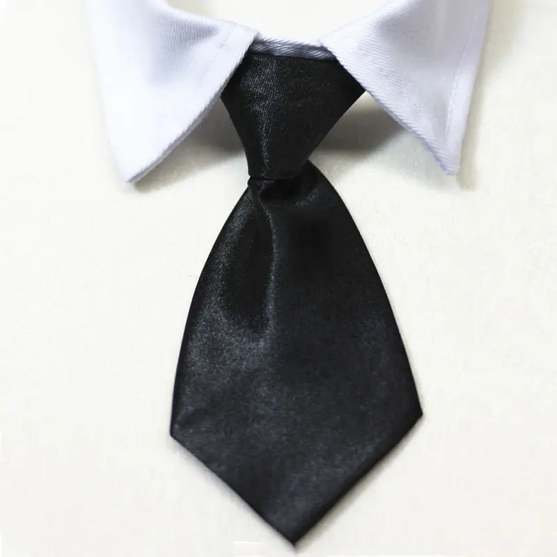 Pet Formal Necktie Pet Tie Dog Cat Fake Collar Tuxedo Bow Tie Cute AdjSPECIFICATIONSBrand Name: NoEnName_NullMaterial: ClothOrigin: Mainland ChinaCN: AnhuiItem Type: Tie &amp; Bow TieSet Type: noType: Dogstype 1: dog tietype 2: dog tuxShopDoggieworksShopDoggieworksPet Formal Necktie Pet Tie Dog Cat Fake Collar Tuxedo Bow Tie Cute Adjustable Solid Corbata Perro