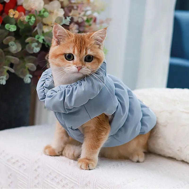 Padded Puppy Cat Clothes With D Rings Winter Warm Dog Jacket for Small Dogs Chihuahua Vest French Bulldog Coat Yorkie Outfits