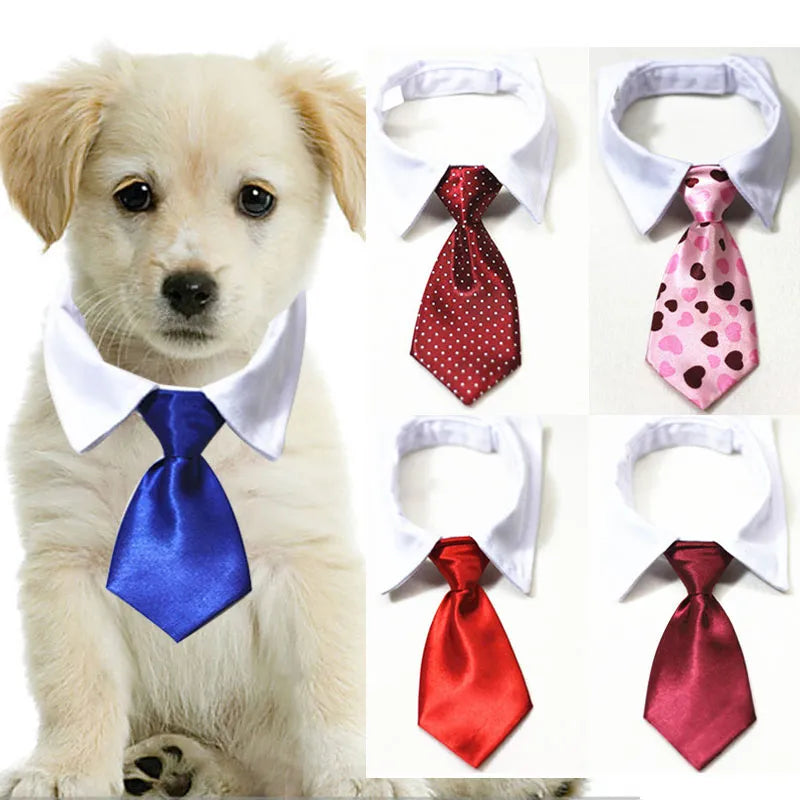 Pet Formal Necktie Pet Tie Dog Cat Fake Collar Tuxedo Bow Tie Cute AdjSPECIFICATIONSBrand Name: NoEnName_NullMaterial: ClothOrigin: Mainland ChinaCN: AnhuiItem Type: Tie &amp; Bow TieSet Type: noType: Dogstype 1: dog tietype 2: dog tuxShopDoggieworksShopDoggieworksPet Formal Necktie Pet Tie Dog Cat Fake Collar Tuxedo Bow Tie Cute Adjustable Solid Corbata Perro