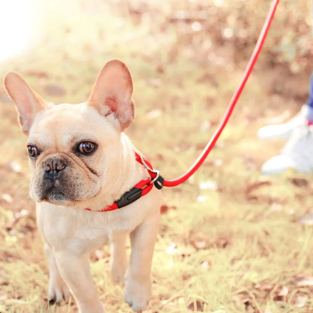 Pet Puppy Dog Leash Slip Rope Lead Leash Nylon Slip Chains Collar No PSPECIFICATIONSBrand Name: NoEnName_NullType: LeashesDog Leash Type: Basic Leashesis_customized: YESMaterial: nylonIs Smart Device: noOrigin: Mainland ChinaCN: ZhejiaShopDoggieworksShopDoggieworksPet Puppy Dog Leash Slip Rope Lead Leash Nylon Slip Chains Collar