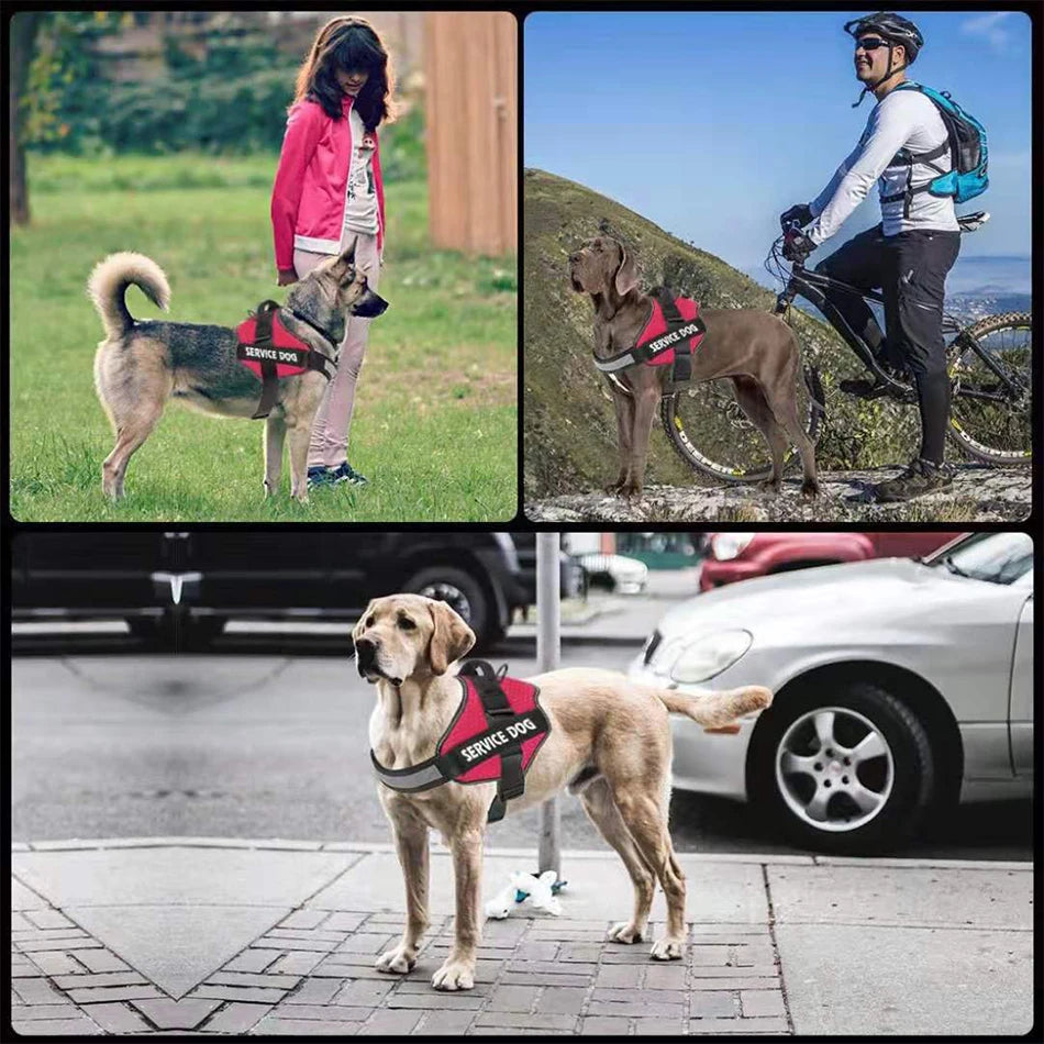 Dog Harness NO PULL Reflective Breathable Adjustable Pet Harness For Dog Vest ID Custom Patch Outdoor Walking Dog Supplies