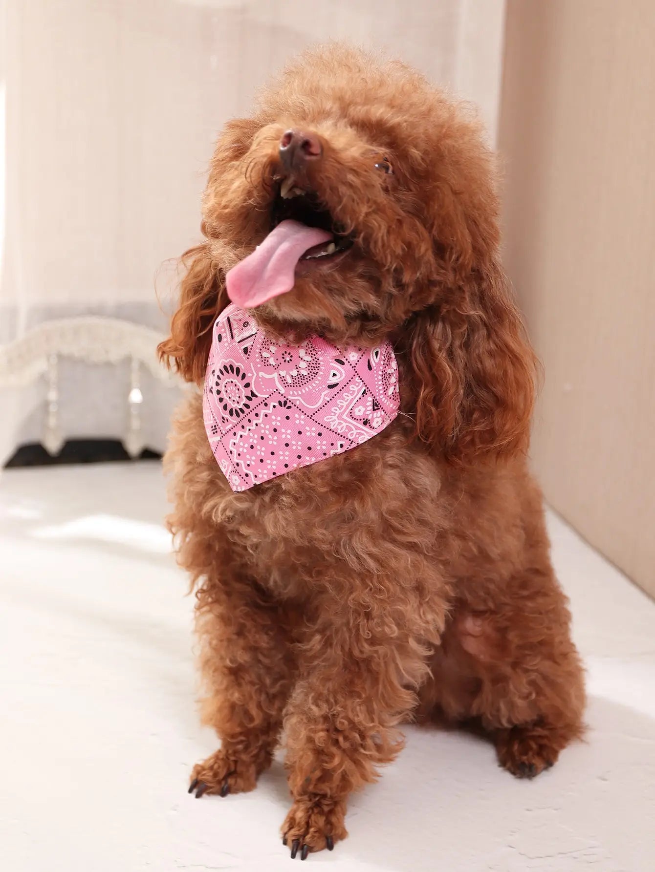 1pc Pink Color Random Pattern Pet Bandana With Adjustable Triangle ShaSPECIFICATIONSBrand Name: KAMANLONGType: Collarsis_customized: NoMaterial: Polyester BlendsIs Smart Device: noOrigin: Mainland ChinaCN: ZhejiangColor: PinkPattern TyShopDoggieworksShopDoggieworksAdjustable Triangle Shape & Buckle Pet Dog Neck Scarf Puppy Cat Dog Collar Bibs