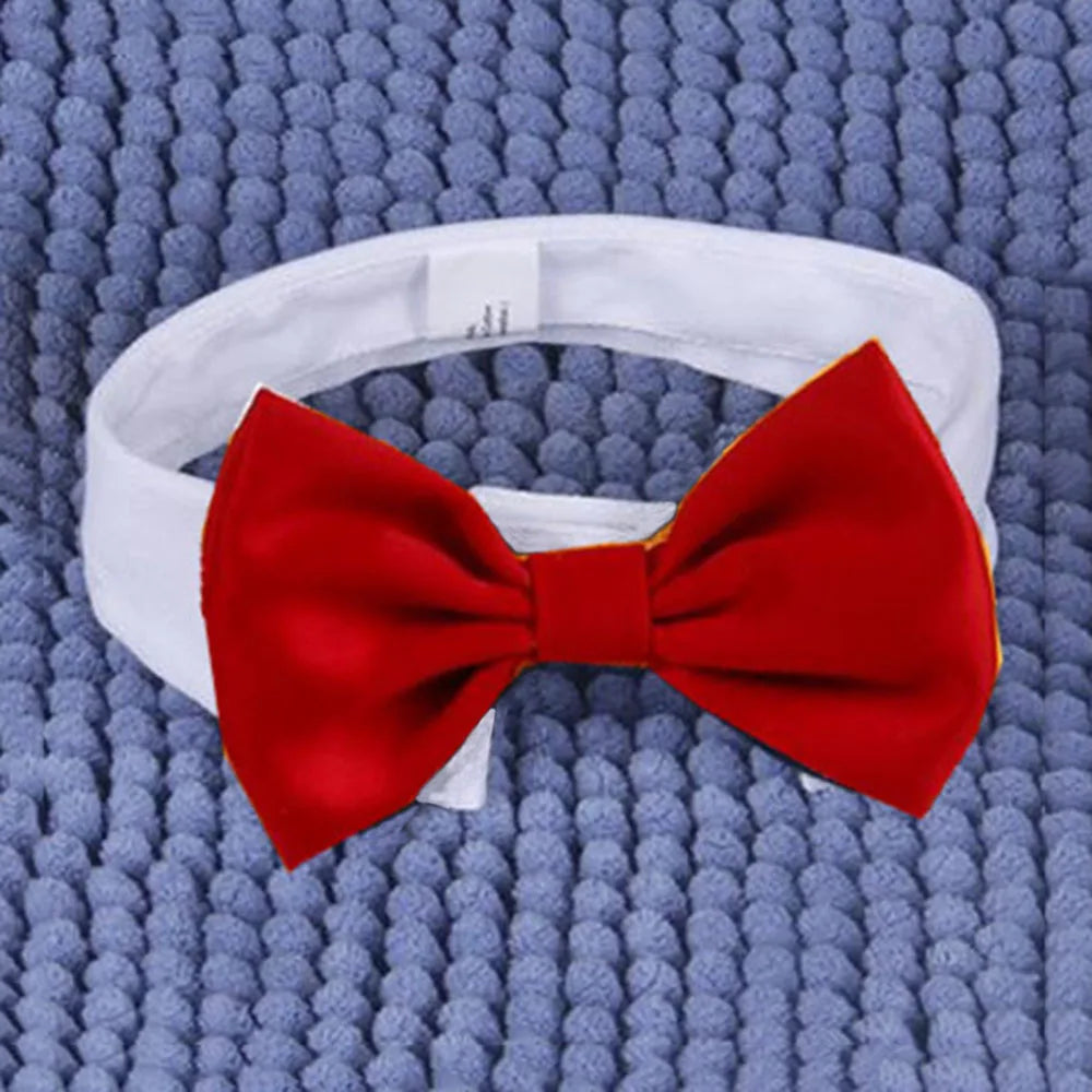 Adjustable Dog Cat Bowtie Formal Pet Bow Tie Collar Wedding Neck Tie fSPECIFICATIONSBrand Name: NoEnName_NullItem Type: Tie &amp; Bow TieOrigin: Mainland ChinaCN: ZhejiangMaterial: 100% CottonSet Type: noType: catsS size: neck 25-30cmLShopDoggieworksShopDoggieworksAdjustable Dog Cat Bowtie Formal Pet Bow Tie Collar Wedding Neck Tie