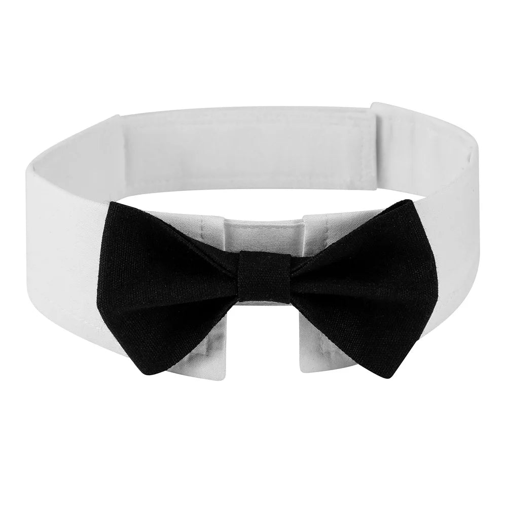 Pet Puppy Dogs Adjustable Bow Tie Collar Necktie Bowknot Bowtie HolidaSPECIFICATIONSBrand Name: HARKOType: CollarsCollar Type: Basic Collarsis_customized: NoMaterial: 100% CottonIs Smart Device: noOrigin: Mainland ChinaCN: ZhejiangPattShopDoggieworksShopDoggieworksPet Puppy Dogs Adjustable Bow Tie Collar Necktie Bowknot Bowtie Holiday Wedding Decoration Accessories Dog Collar Pet Supplies