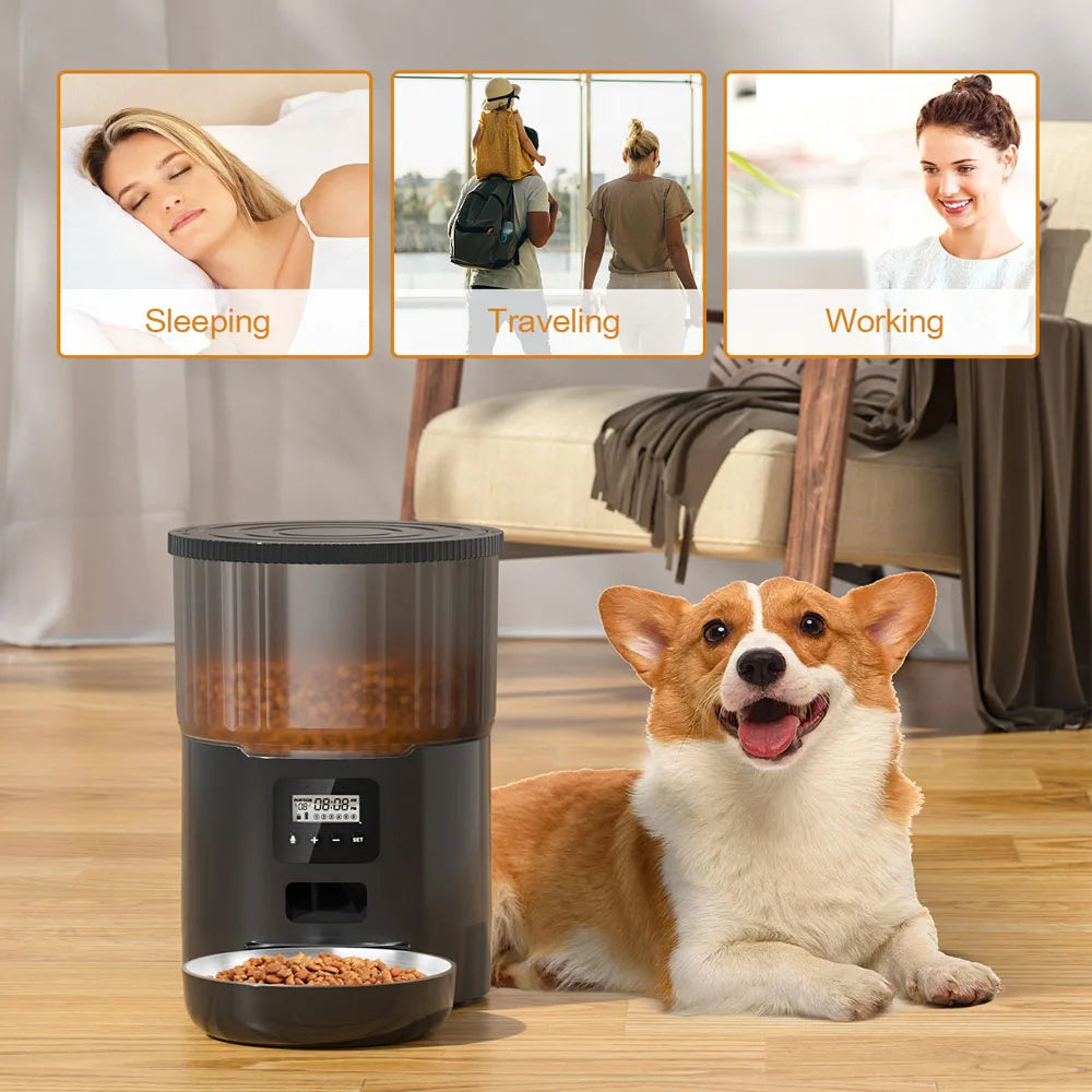 4L Button Smart Automatic Pet Feeder With Stainless Steel Bowl Timing Voice For Dog Cat Auto Feeding Bowl Pet Dry Food Dispenser