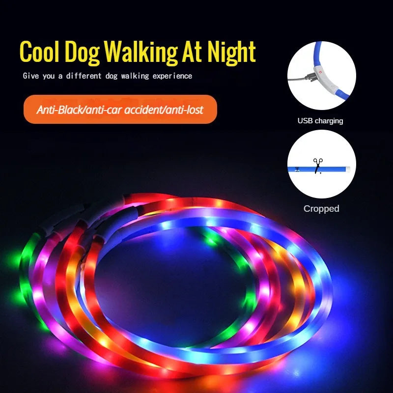 LED Glowing Dog Collar Flashing Rechargea Luminous Collar Night Anti-Lost Dog Light HarnessFor Puppy Pet Products