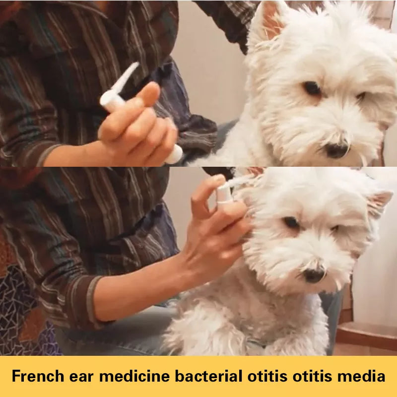 Malassezia otitis media for cats and dogs itching, redness, swelling and anti-inflammatory ear drops Easotic10m