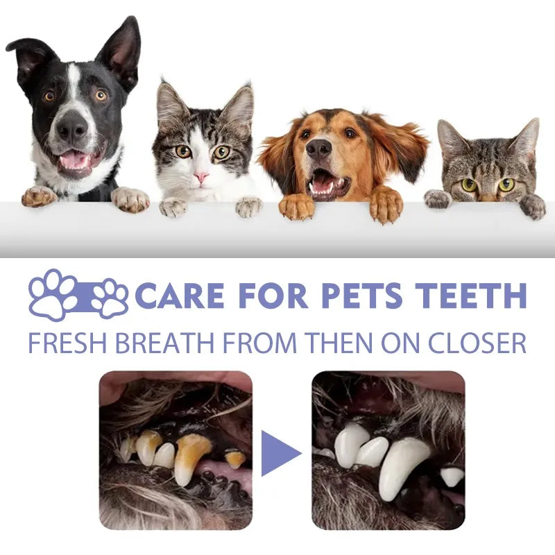 Pet Teeth Cleaning Spray Oral Care Remove Tooth Stains Keep Fresh Breath for Cats and Dogs Whitening  Remove bad breath