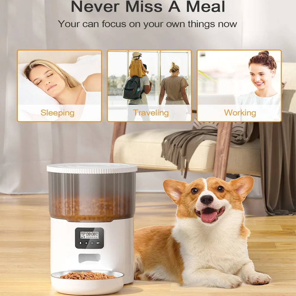 4L Button Smart Automatic Pet Feeder With Stainless Steel Bowl Timing Voice For Dog Cat Auto Feeding Bowl Pet Dry Food Dispenser